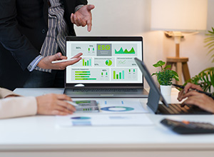Verificaci�n y aseguramiento de la informaci�n de sostenibilidad