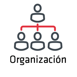 Organizacin